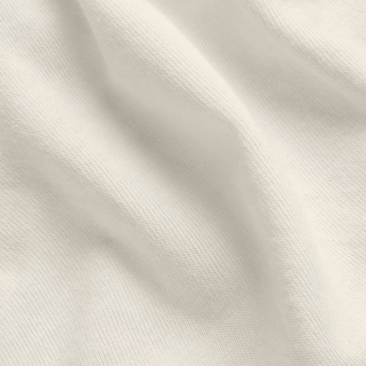 Brief